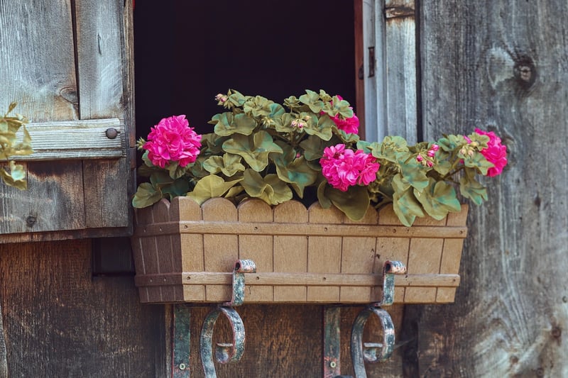 Pots and Planters
