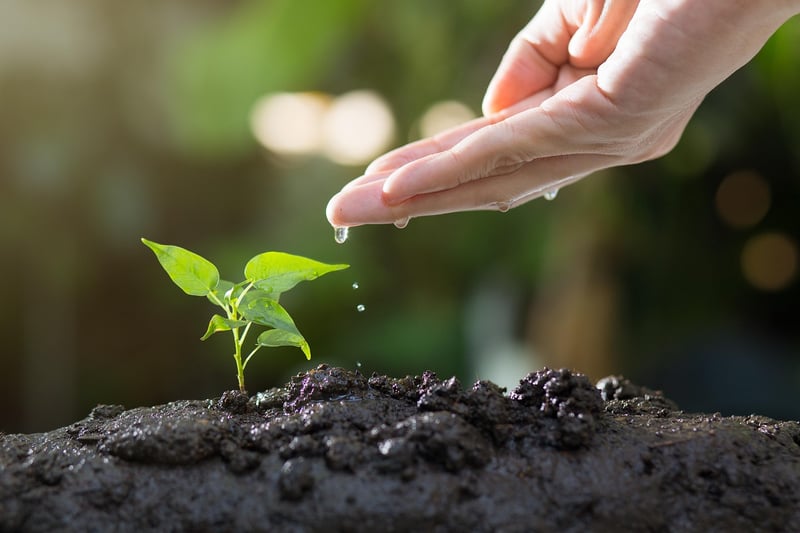 Community Gardening