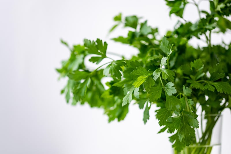 Vertical Herb Garden