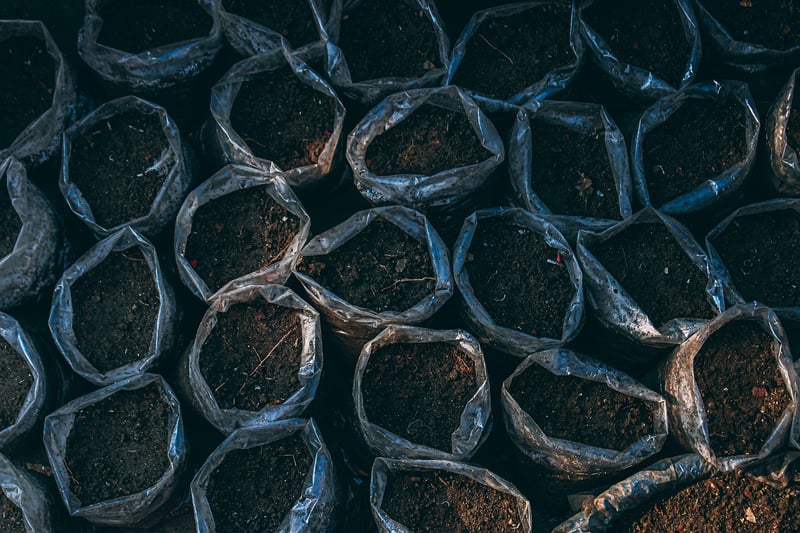 Potting Mix